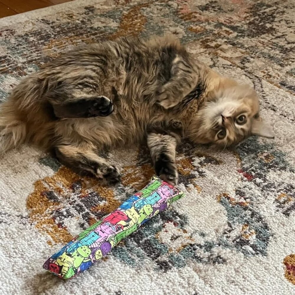 Meet your Posher, Bobby